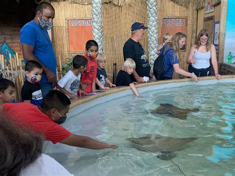 The Complete Guide To The Denver Aquarium