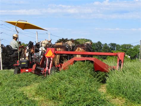 Kim Hadwen Pioneer Horse Equipment