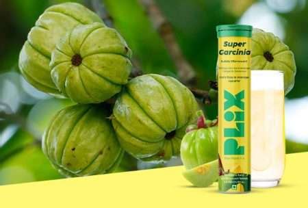 How Does Garcinia Cambogia Benefit Your Health Plixlife