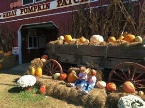 The Great Pumpkin Patch | Birminghamparent.com