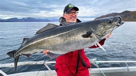 Angeln In Norwegen Eidet Havfiske Auf Heilbutt K Hler Und Dorsch In