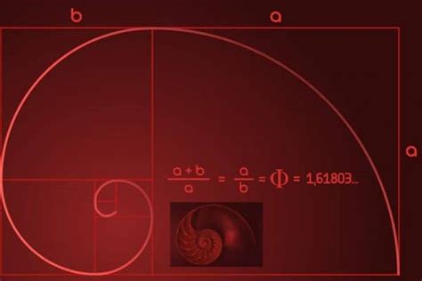 Proporci N Urea Puntos Calientes Y Lineas De Visi N Xavi Moya