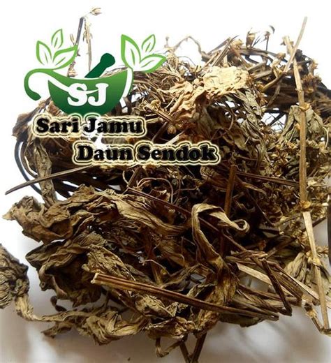 Jual Ready Jamu Herbal Tradisional Daun Sendok 500 Gr On Sale Di Lapak