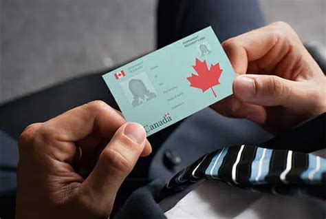 Canada PR Card Renewal Complete Guide Work Study Visa