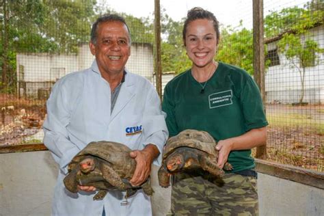 Centro de Triagem de Animais Silvestres de Vitória da Conquista recebe