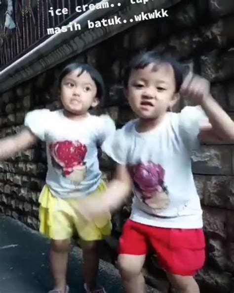 Anak Kembar Joget Tiktok