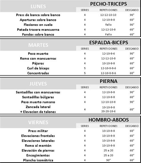 Entrenamiento En Casa Con Mancuernas Mes 4 Y 5 2024 Rutinas Para