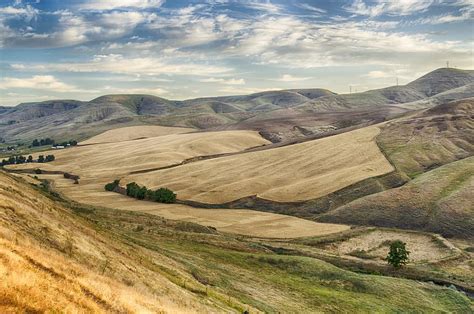 Wheat Fields Rolling Fields Idaho Usa Landscape Lewiston Farming