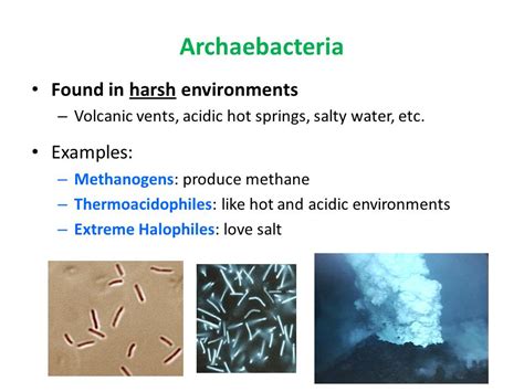 Archaea examples kingdom