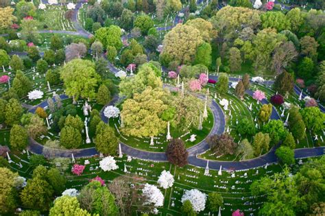 Cave Hill Cemetery Image Gallery