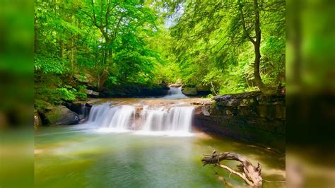 5 Of The Best Waterfalls In West Virginia