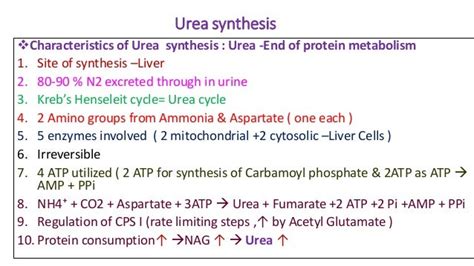 Formation And Clinical Significance Of Urea