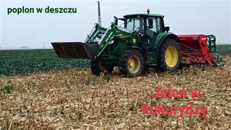 Siew Poplonu Po Kukurydzy Na Ziarno John Deere 6120 M Agromasz SN