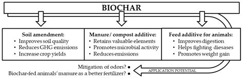 Applied Sciences Free Full Text A Review Of Biochar Properties And