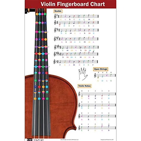 Tableau De Doigt Pour Violon Avec Notes Code Couleur Pour Apprendre