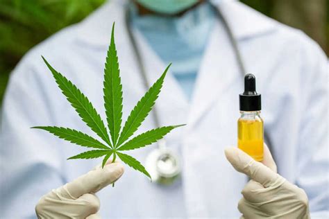 Cannabis Medicinal En Espa A El Respaldo Del Gobierno Y Sus