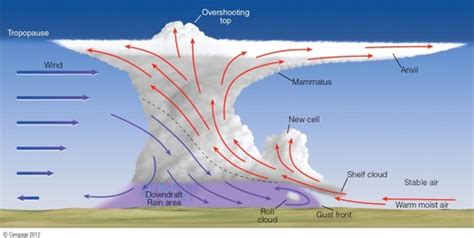 Chapter 18: Thunderstorms Flashcards | Quizlet