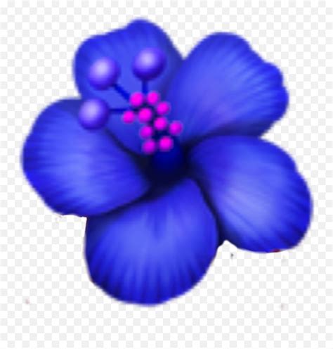 Blueflower Emoji Emojisticker Hawaiian Hibiscus Emoji Pngflower