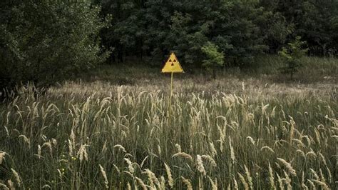 Nous Navons Pas Tir Toutes Les Le Ons De Tchernobyl Le Temps