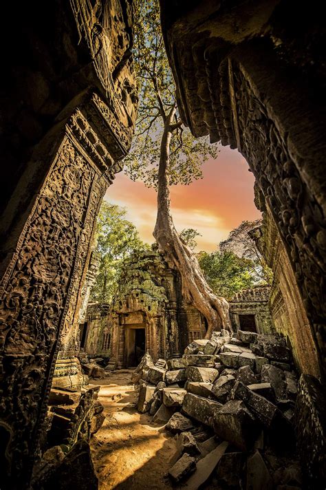 Angkor Ruta Por El Tesoro Jemer De La Selva De Camboya