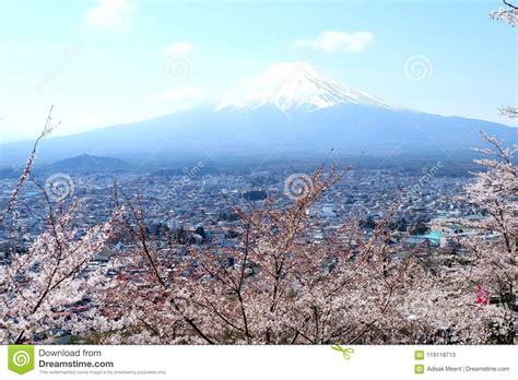 Fuji Mountain with Cherry Blossom Stock Image - Image of mountain, fuji: 119118713