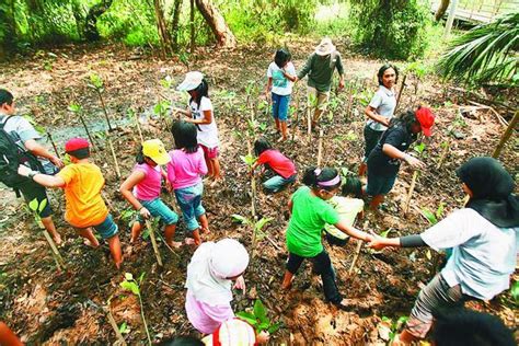 KIM SINAR PELITA PELESTARIAN LINGKUNGAN HIDUP