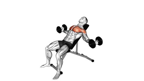 10 Barbell Chest Exercises Unleash Maximum Muscle Growth Workout Guru