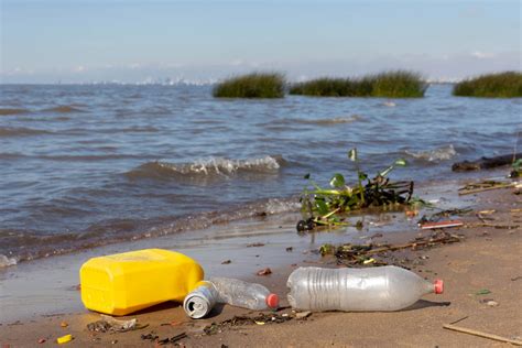 Praias impróprias para banho em SP saiba quais destinos evitar