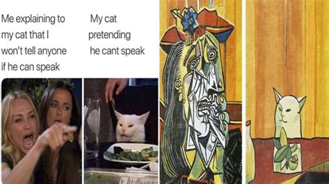 18 Steps In The Increasing Abstraction Of The Woman Yelling At A Cat