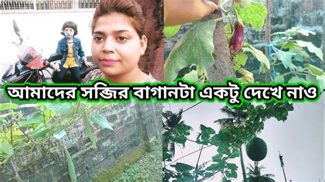 আমরা কি কি সব্জি নিজের হাতে তৈরি করে খাইদেখে নাও Youtube