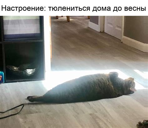 Тёмный Уголок | ВКонтакте