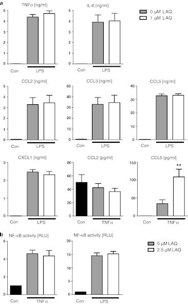 No Marked Effect Of Laq On Microglial Cytokine Secretion A And Nf B