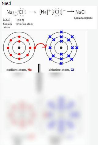 SOLUTION Selina Concise Chemistry Class 9 Icse Solutions Atomic