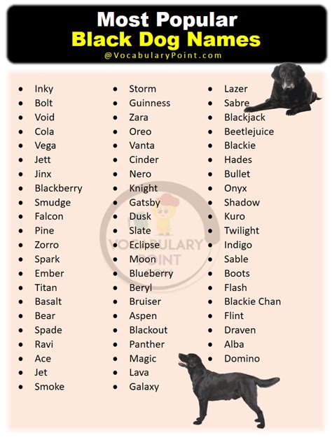 Most Popular Black Dog Names - Vocabulary Point