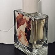 Nude Skin Skylar Perfume A Fragrance For Women And Men