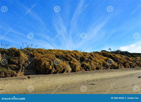 KoeKohe Beach at Otaga New Zealand Stock Photo - Image of vegetation ...