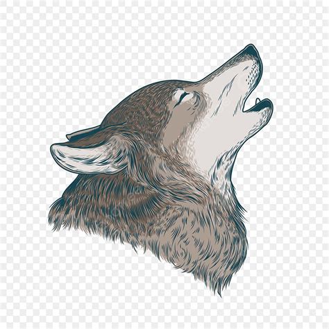 Grabado Grabado Para Camisetas Lobo Aullando Png Ilustraci N