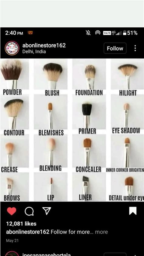 Types of Makeup Brushes 👄 🖌️ by influencer | Makeup brushes, Pinterest ...