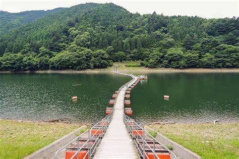 Exploring Tokyo S Hidden Oasis