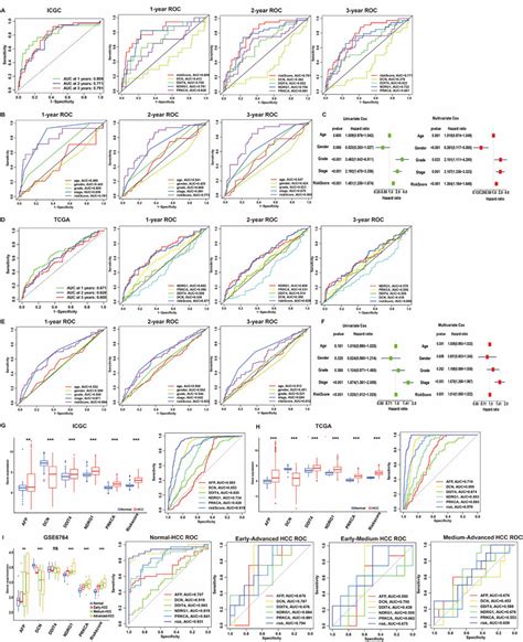 Validation Of Hypoxia Risk Model In Hcc A B Roc Curves Of Icgc