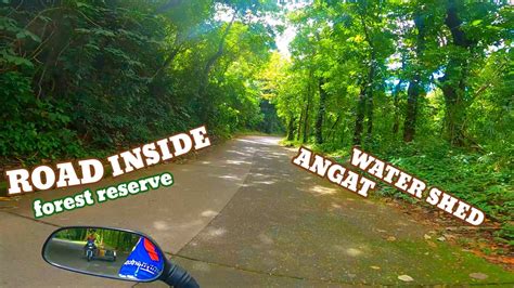 Road Inside Angat Water Shed Forest Reserve Bulacan Philippines Youtube