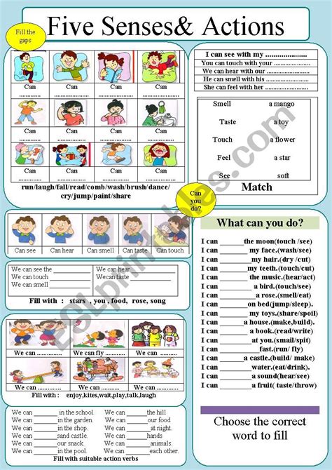 Senses And Action Verbs Esl Worksheet By Jhansi