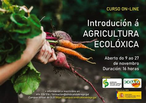 Curso Online Gratuíto De Agricultura Ecológica Campo Galego