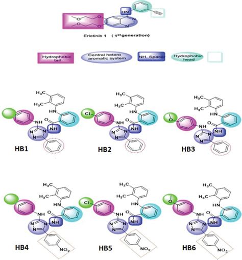 The synthesized compounds predicted feature as EGFR tyrosine kinase ...