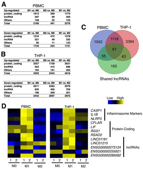 Ncrna Free Full Text Systematic Analysis Of Long Non Coding Rnas In Inflammasome Activation