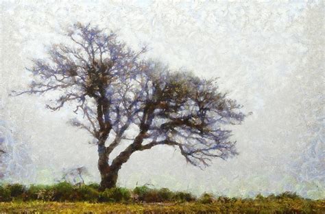 The Lonely Tree Painting By Balram Panikkaserry Pixels