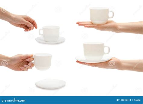 Set Of Different Female Hand Holds A Cup Of Tea Isolated On White