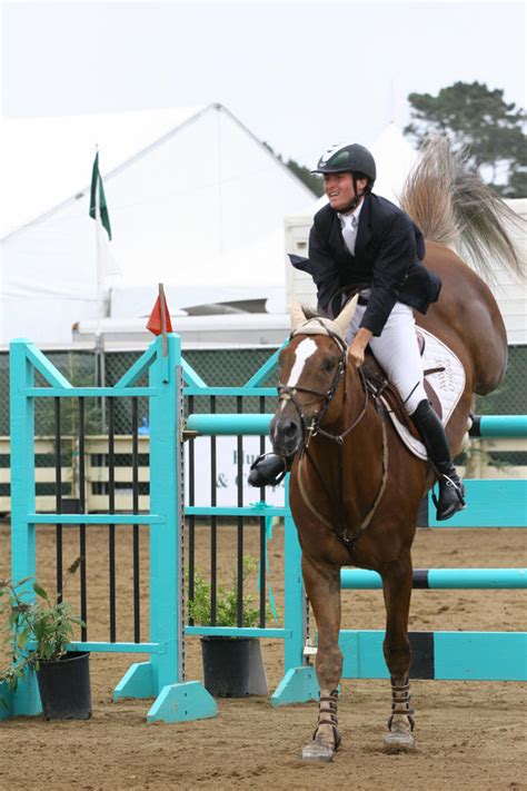 Liver Chesnut Warmblood Show Jumping Pebble Beach By Horsestockphotos