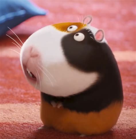 Image Norman Whats So Funny 2016png The Secret Life Of Pets