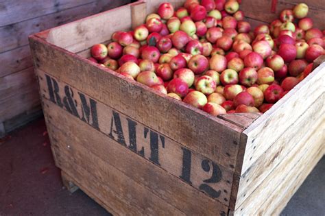 Lauren Piippo Photography — Yates Cider Mill Rochester Michigan